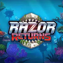 Razor Returns demo